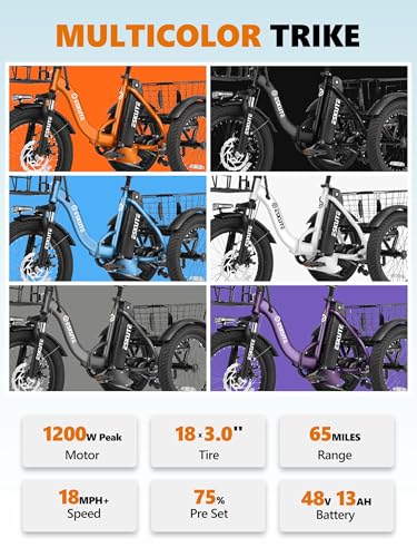 T300 Adults Electric Trike Bike, 1200W Peak Motor & 624Wh