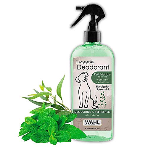 best smelling dog perfume