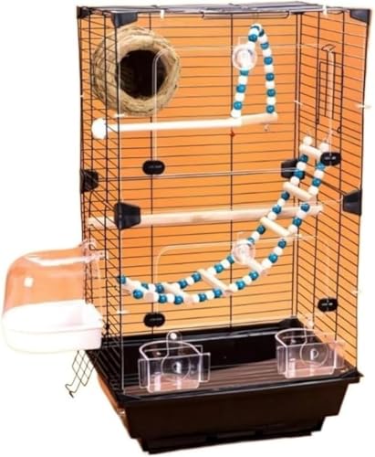 Riazdiw ^E^̒ɓKsALXƂԁAώ@₷fUC^̓Ȓ (ubN,ANXNGAP[W)