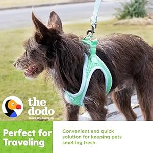 The Dodo Deodorizing Shampoo & Spray Twin Pack for Dogs; 12oz Deodorizing Dog Shampoo + 12oz Deodorizing Dog Spray with Charcoal; Vegan, Cruelty-Free, No DEA, MEA, SLS or Parabens