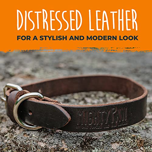 Mighty Paw Leather Dog Collar | Distressed Real Genuine Leather And A Strong Metal Buckle. Super Soft For Ultimate Comfort. Modern Designer Look For Small, Medium, Large And Xl Pets (Brown) #TOP2