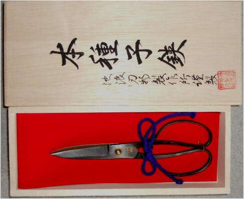 Amazon | 種子島本種 池浪刃物製作l所 種子鋏（たねばさみ）黒仕上げ 5 