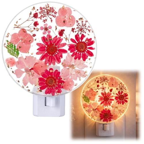 Image of Glooglitter Pressed Flower Night Light Plug in-Handmade Dried Floral Wall Night Light, Soft Glow Decorative Nightlight for Hallway Bedroom Nursery Bathroom, Vintage Botanical(Red,Flower)