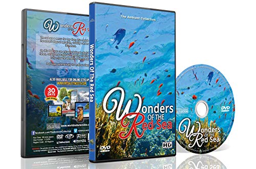 Underwater DVD - Wonders of the Red Sea - Explore Colorful Scenery of Fishes, Corals and Sea Turtles in Amazing Crystal Clear Ocean Seawater