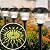 Beau Jardin 8 Pack Solar Pathway Lights Color Changing + Bright White Outdoor Garden Stake Glass LED Stainless Steel Waterproof Landscape Path Lighting for Yard Walkway Driveway Outside Black