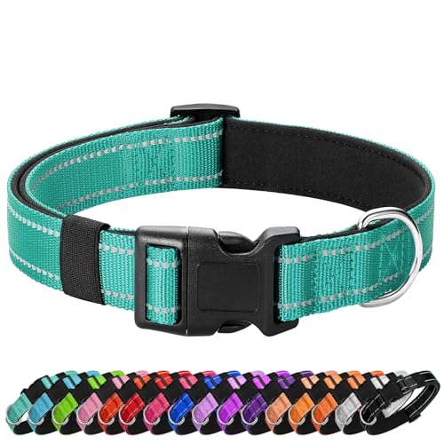 Image of Reflective Dog Collar, Adjustable Nylon for Puppy, Teal XS