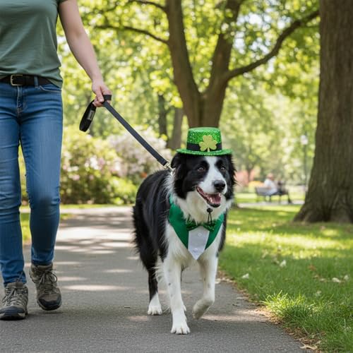 Disfraz para perro Leprechaun St. Patrick’s Día Talla M miniatura 7