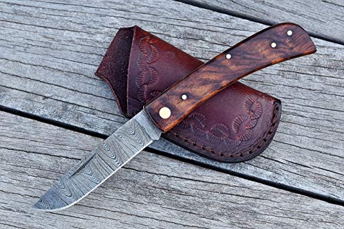 Zaildar Damascus Pocket Knife - Handmade Folding Pocket Knife, Damascus Knife & EDC Knife - Pocket Knife for Men, Damascus Folding Knife & Camping Folding Knife with Rose Wood Handle & Knife Sheath