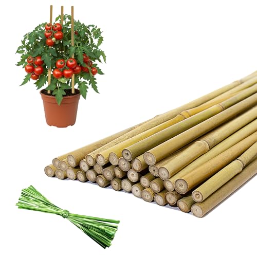 36 Pcs Natural Bamboo Plant Stakes - 30% Off Garden Support