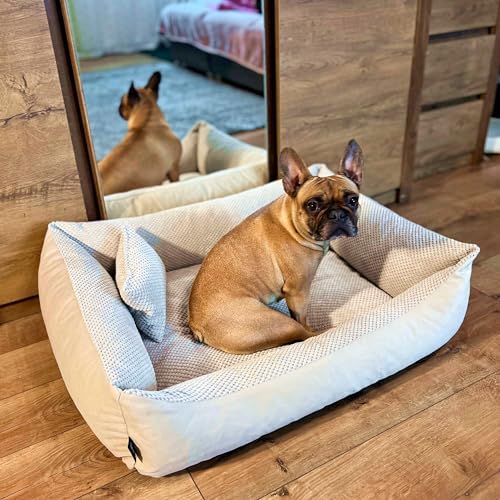 4L Textil Teo Kuscheliges Hundebett Hundekorb mittelgroße Hunde Hundekissen flauschig Hundekörbchen Hundesofa(60x40 cm, Beige)