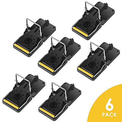 Preisvergleich Produktbild DYHQQ Mausefalle, Ratten- / Mäusefalle, die funktioniert Humane Power Nagetierkiller 100% Mouse Catcher Sicher für Familien und Haustiere - 6er Pack