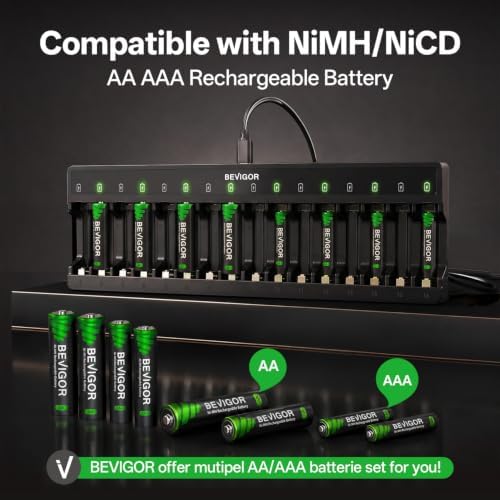 BEVIGOR Chargeur de batterie 16 compartiments avec 8 piles AA et 8 AAA pour