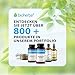 Johanniskraut Kapseln – 200 Stück mit 260 mg pflanzlicher Komplex mit Vitamin B6 von BIOHERBA PZN 17191352