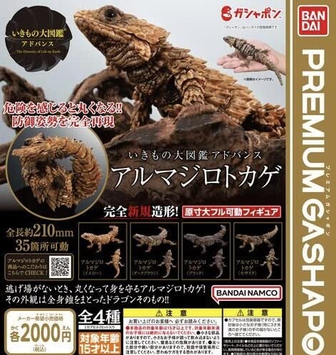Amazon | いきもの大図鑑 アドバンス アルマジロトカゲ 全4種セット 