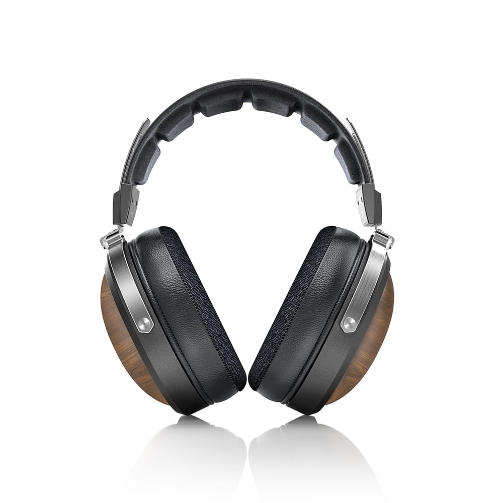 Amazon.co.jp: FIIO FT1 FIO-FT1-B【日本正規販売店より発送・シリアル 