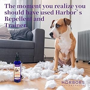 Harbor’s Dog Training Aid for Puppies and Dogs – 4 oz | Puppy Training Spray | Dog Training Spray | Dog Deterrent for Furniture | Dog Deterrent for Plant