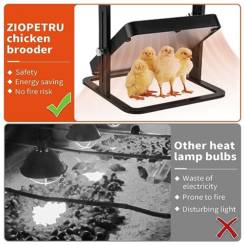 Ziopetru 0025 Chicken Brooder Heater thumb #4