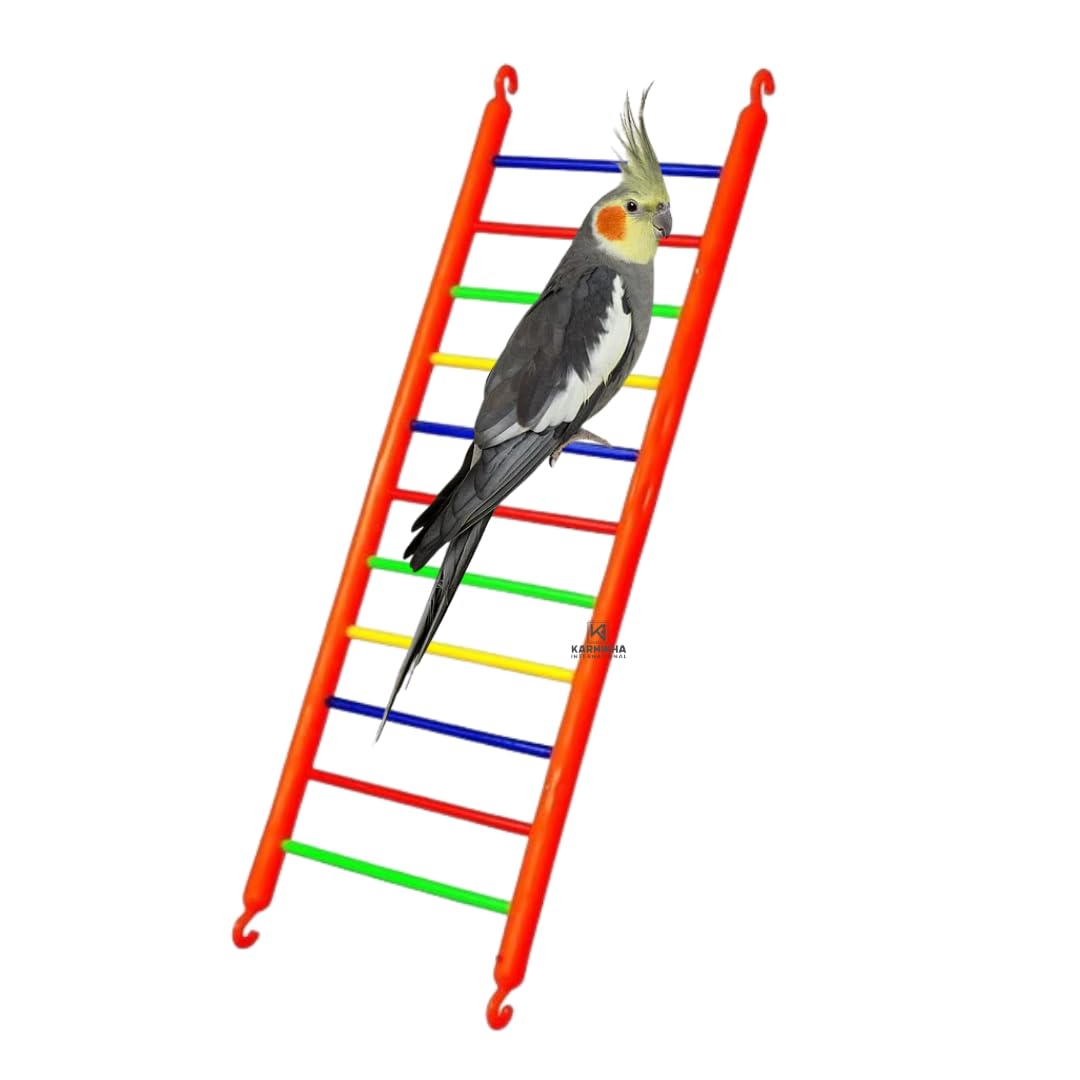 Karnikha’s | Playful Bird Toy Ladders |Colourful Ladder Toys Cage Accessories | Love Birds, Budgies, Finches,Sparrow, Cockateils | Birds Ladder Eleven Steps Multi Color-Pack of 1-image-15