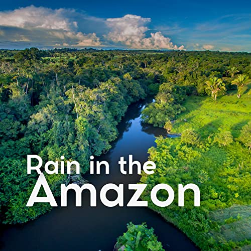 Amazon Rian Amazon Music - Rain for Deep Sleeping, Rain Radiance & Rainforest ...
