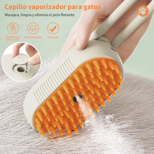 Estética Automotriz, Sports Imagen adicional