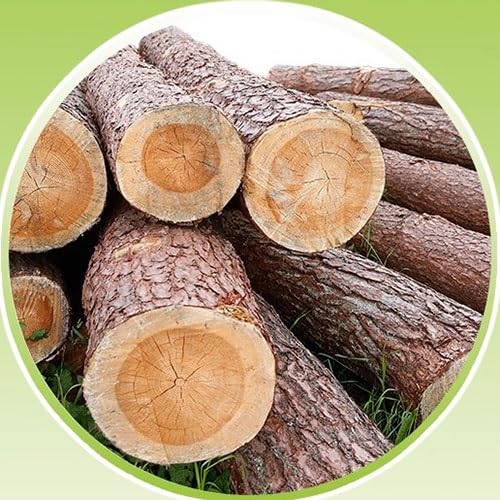 100 paraspigoli in cartone resistente per spedizioni e spostamenti sicuri, lunghezza 1,7 m, spessore 4 mm, protegge il carico durante il trasporto