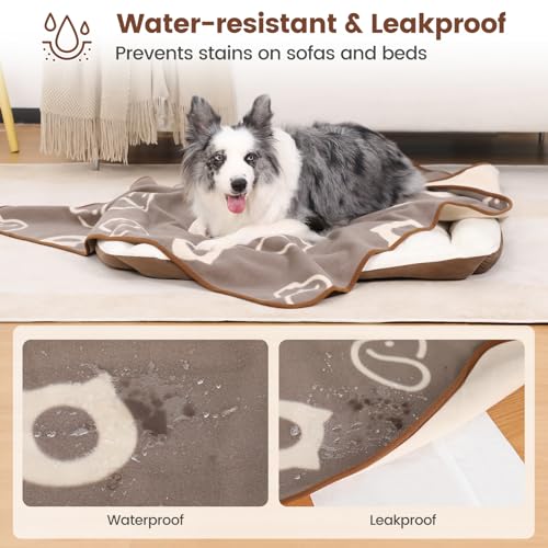 IDOGCHEW Hundedecke Wasserdicht 100x75 cm, Geeignet für Katzen & Kleine bis Mittelgroße Hunde, Hundedecke waschbar aus Sherpa Fleece, Flauschig und Weich Maschinenwaschbar - Braun
