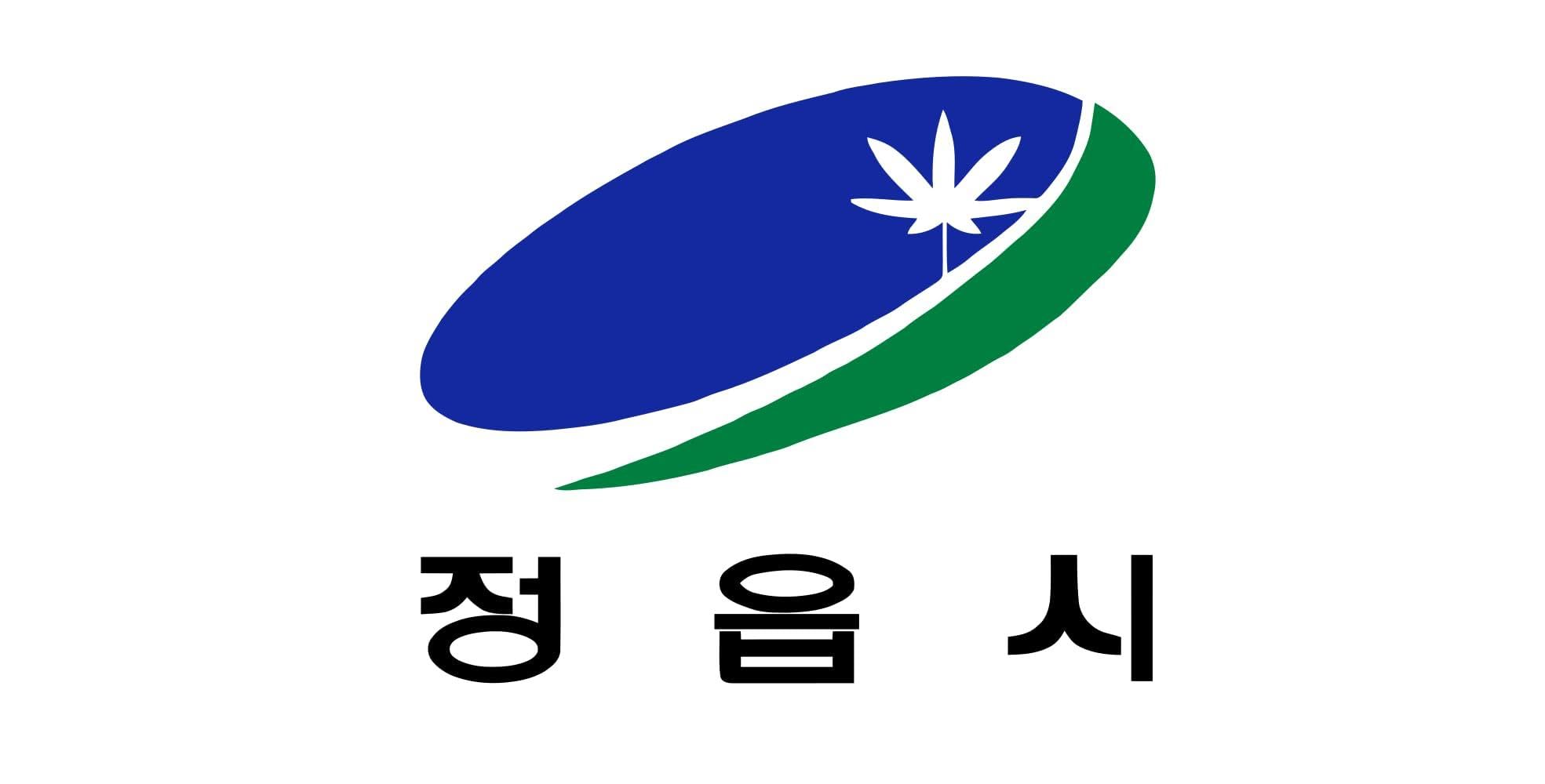 Drapeau Large Jeongeup 1995-2001 grand format de la province North Jeolla