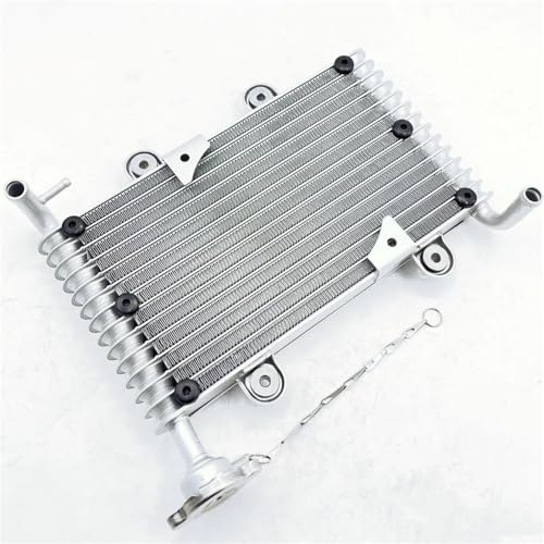 アクセサリー シルバー3穴水タンクラジエーター 200CC 250CCに適合
