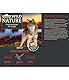 Dehner Wild Nature Hundefutter Probier-Set, Nassfutter getreidefrei / zuckerfrei, für ausgewachsene Hunde, Ente / Pferd / Wild / Kaninchen, 6 x 400 g Dose (2.4 kg)
