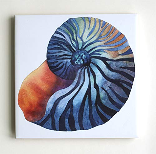 Amazon Com Nautilus Shell Art Tile Trivet Original Elvira Para Art Handmade Products