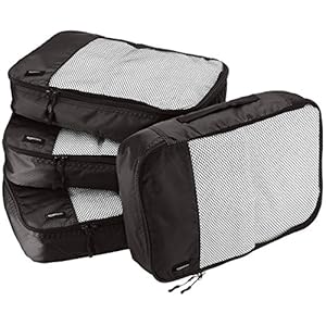 Amazon Basics Packing Cubes with Mesh Top Panel for Ventilation and Double Zipper Pulls – Medium, 4-Piece Set, Black