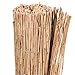 Produktbild AFP Schilfrohrmatte Winterschutz Pflanzen, 80 x 100 cm/Stammschutz Bäume/Frostschutz Kübelpflanzen/Bastelmatte/Winterschutz Pflanzen / 2 Jutesäckchen gratis