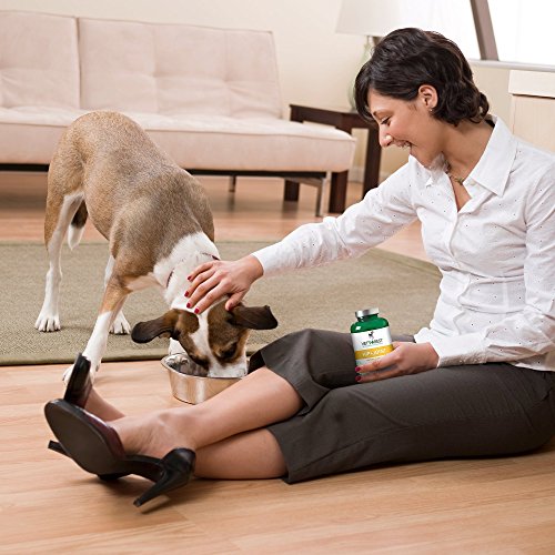 Vets-Best-Advanced-Hip-Joint-Dog-Supplements-Formulated-with-Glucosamine-and-Chondroitin-to-Support-Dog-Joint-and-Cartilage-Health-90-Chewable-Tablets