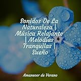Amanecer de Verano
