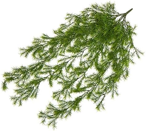 Factory Direct Craft Artificial Springeri Vine Bush