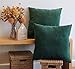 LIBERTAD poszewka na poduszkę na sofę 18 x 18 cali 45 cm x 45 cm miękka gładka w dotyku dekoracyjna poszewka na poduszkę z niewidocznym zamkiem błyskawicznym, zestaw 2 sztuk plus z drukowanymi ścianami (zielona)
