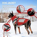 Hjyokuso Wasserdichter Hundemantel, Hundejacke mit Geschirr, Hundejacken für kleine Mittel Große Hunde, Winddichte Haustierkleidung Outfit mit Reflektierender Streifen und Reißverschluss - Rot S