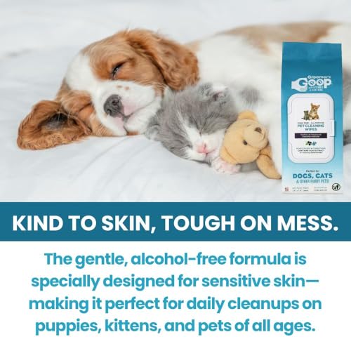 Image of Groomer's Goop Pet Cleaning Wipes - Gentle, Alcohol-Free Formula with Acai Extract for Dogs & Cats, Safely Cleans & Deodorizes Fur, Supports Skin Health, Great for Puppies & Kittens - 100 Count Pack