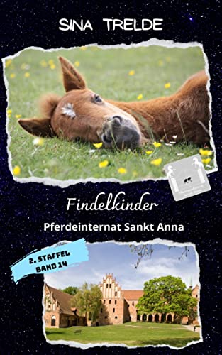 Findelkinder: Pferdeinternat Sankt Anna - 2. Staffel, Band 14 von [Sina Trelde]