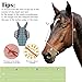 Horse Masque with Ears Large Eyes Breathable Fly Cover for Horses Adjustable Equestrian Equipment for Horse(L)