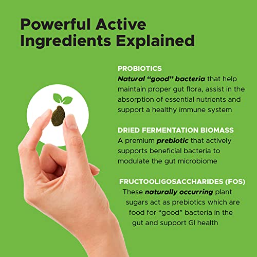 Pethonesty Solid Stool Max Strength Chews - Perfect Poop Every Day, Diarrhea & Bowel Support - Fiber, Probiotics, Prebiotics & Digestive Enzymes - Digestion & Health Supplement For Dogs (90 Count) #TOP2