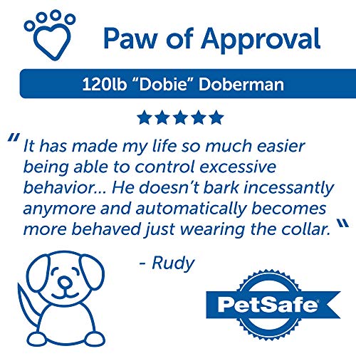 PetSafe SMART DOG Training Collar – Uses Smartphone as Handheld Remote Control – Tone, Vibration, 1-15 Levels of Static… - Image 6
