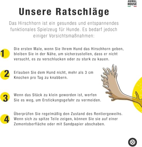 Animal House – Damhirschgeweih für Hunde – 100% natürlicher Kausnack – Stärkt die Mundhygiene – Widerstandsfähig und langlebig – In Allen Größen erhältlich (XL)