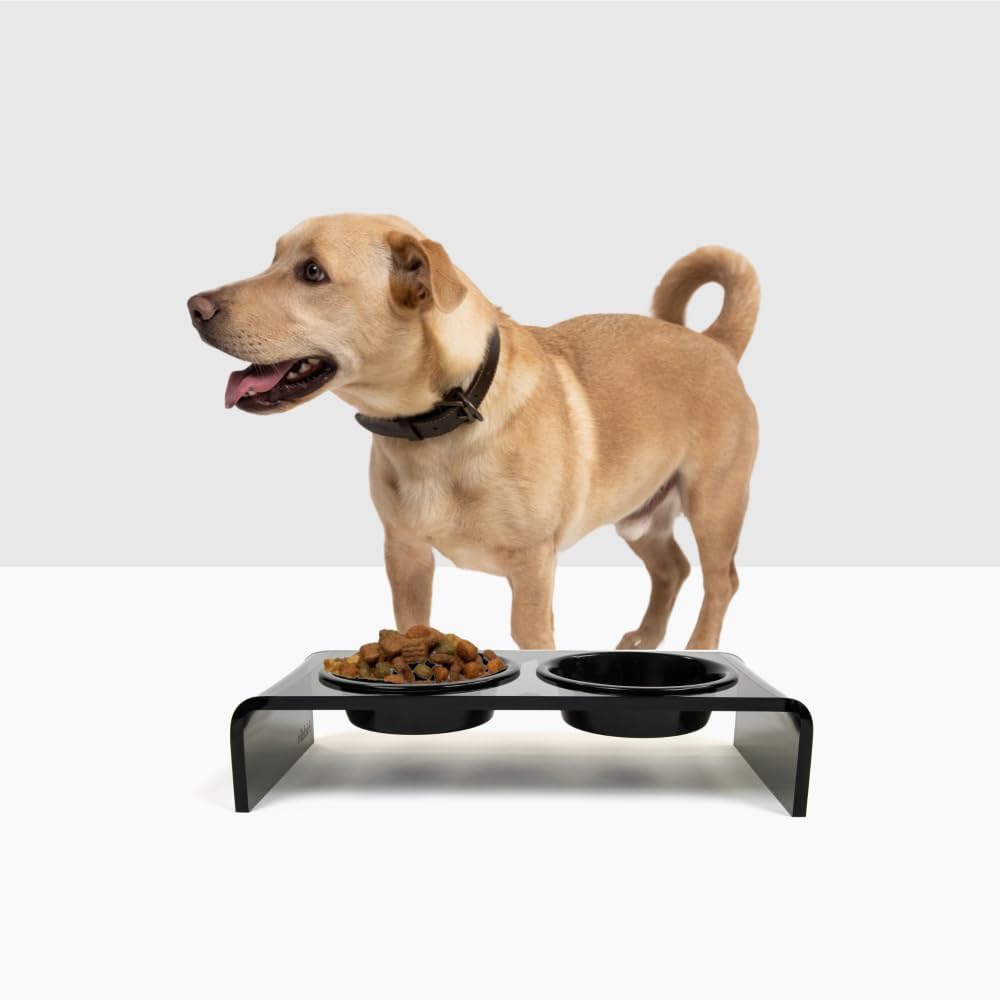 Hiddin Double Elevated Dog Bowl Stand for Small or Medium Dogs, All Breeds, Smoke Grey Acrylic 3.5 Inch Raised Dog Bowl Stand with Two Black Bowls for Food and Water - 1.5 Cups Each Dish