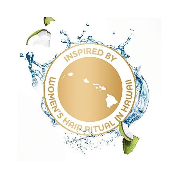 Dove-Nourishing-Secrets-Shampoo-for-Dry-Hair-Coconut-and-Hydration-With-Refreshing-Lime-Scent-12-oz-6-Count Dove Nourishing Secrets Hydrating Shampoo Coconut and Hydration 6 Count for Daily Use Dry Hair Shampoo With Refreshing Lime Scent 12 oz