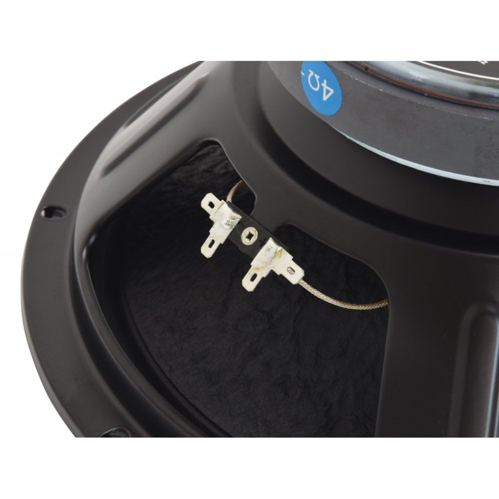 CIitronic | Pilotes de Haute Puissance 4 Ohm de Rechange | 30,5 cm – 700 W
