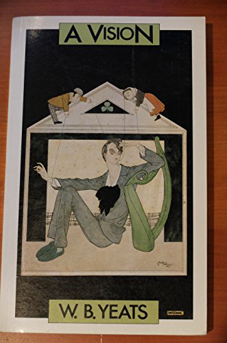 The Vision (Papermacs) 0333309804 Book Cover