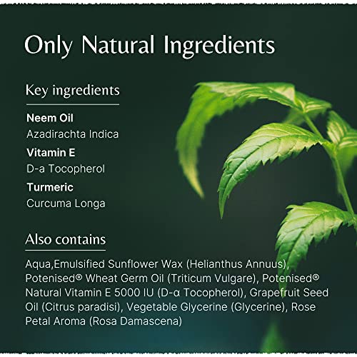 The House of Mistry Natural Vitamin E Cream 50g - Moisturising & Rejuvenating, Gentle for Restoring Balance, Dryness, Stretch Marks & Anti-Aging - Vegan Face & Body Cream - Image 6