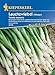Kiepenkerl Profi-Line Winterlauchzwiebelsamen Tonda musona 3175 – Zart und schmackhaft - Inhalt für 6 laufende Meter - Wuchshöhe 30-40 cm - Gemüsesamen 17 Pro günstig Kaufen-Kiepenkerl Profi-Line Winterlauchzwiebelsamen Tonda musona 3175 – Zart und schmackhaft - Inhalt für 6 laufende Meter - Wuchshöhe 30-40 cm - Gemüsesamen