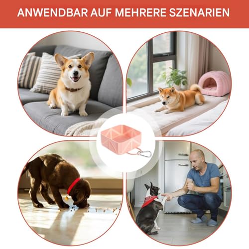 Hundeschale - Collabsible Haustiernahrung Container | 500 ml FALTING Puppy Waterer | Hundewasserversorgungsanleitungspender für Kätzchen Car RV Travel Wanderwanderung Strandboot Outdoor Aktiv